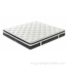 Factory OEM Home Bedroom Modern Design Bed Foam Spring Mattress